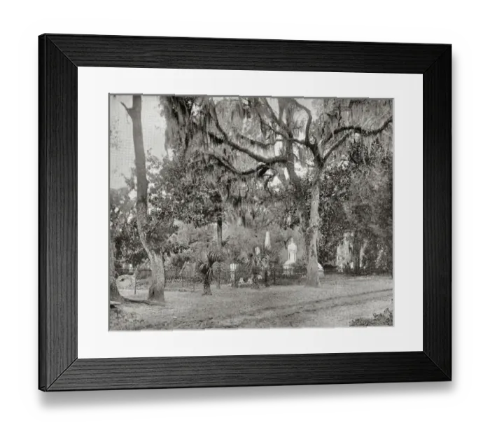Framed Print : Cemetery of Bonaventure, Savannah, Georgia, USA Framed Print : Cemetery of Bonaventure, Savannah, Georgia, USA