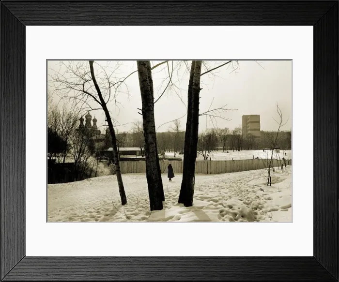 Framed Print : Snow and trees, Moscow Framed Print : Snow and trees, Moscow