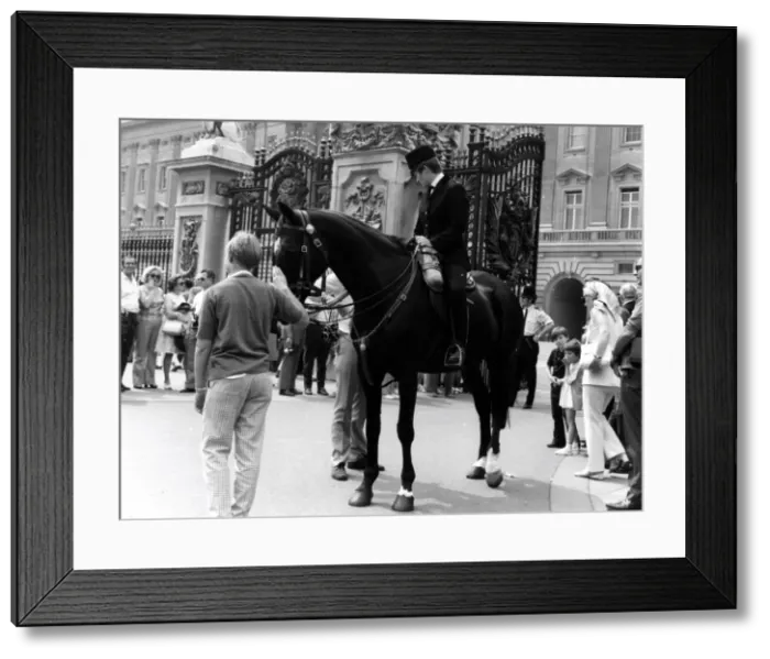 Framed Print : Woman police officer on horseback, London Framed Print : Woman police officer on horseback, London