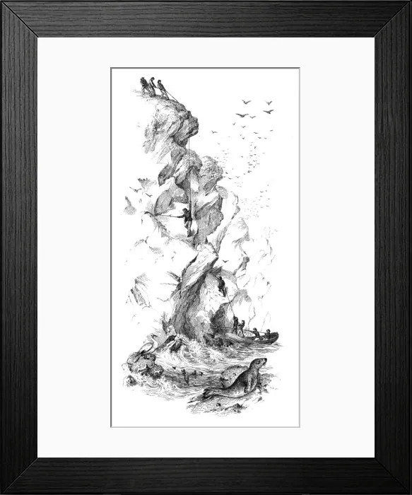 Framed Print : Bird catching in the Faroe Islands