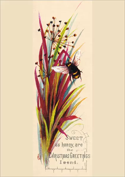 Spray of leaves and a bee on a Christmas card