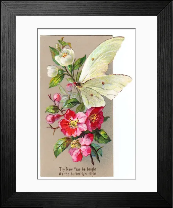 Framed Print : Pink and white flowers with butterfly on a New Year card Framed Print : Pink and white flowers with butterfly on a New Year card