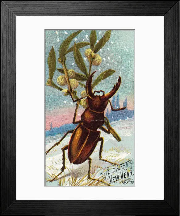 Framed Print : Beetle with mistletoe on a New Year card Framed Print : Beetle with mistletoe on a New Year card