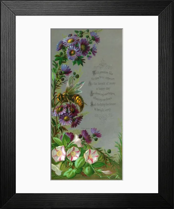 Framed Print : White and purple flowers on a New Year card Framed Print : White and purple flowers on a New Year card