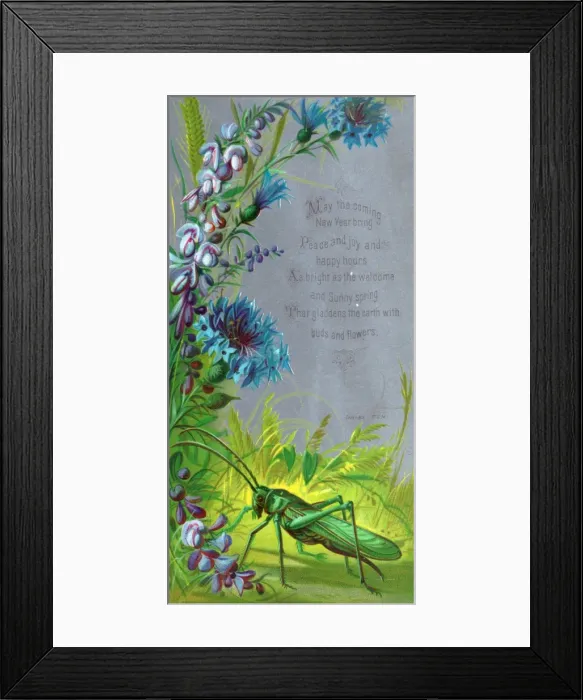 Framed Print : Purple and blue flowers with grasshopper on a New Year card Framed Print : Purple and blue flowers with grasshopper on a New Year card