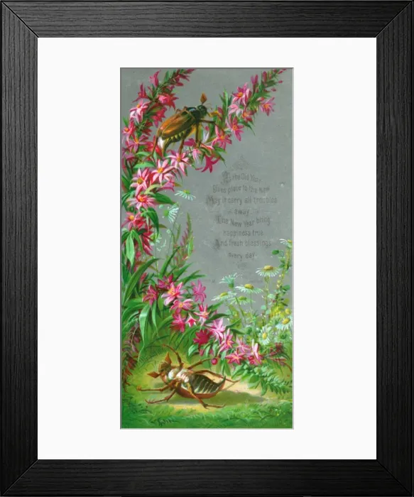 Framed Print : Pink and white flowers with beetles on a New Year card Framed Print : Pink and white flowers with beetles on a New Year card