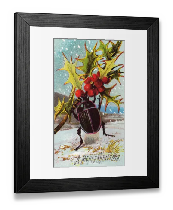 Framed Print : Beetle with holly on a Christmas card Framed Print : Beetle with holly on a Christmas card