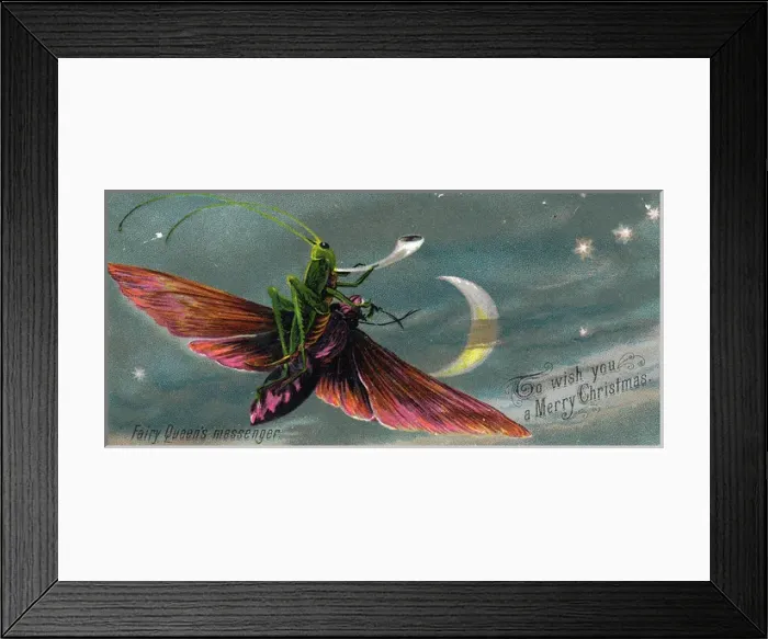 Framed Print : Grasshopper riding a moth on a Christmas card Framed Print : Grasshopper riding a moth on a Christmas card