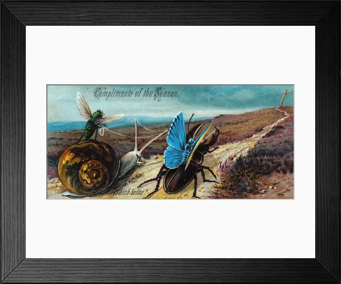 Framed Print : Three insects and a snail on a Christmas card Framed Print : Three insects and a snail on a Christmas card