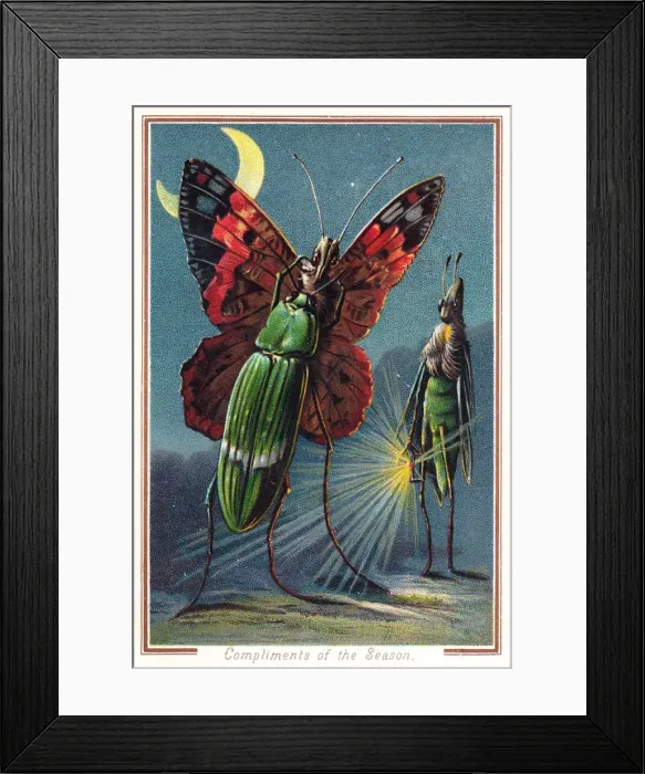 Framed Print : Two beetles and a butterfly on a Christmas card Framed Print : Two beetles and a butterfly on a Christmas card