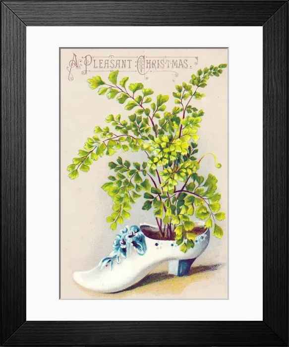 Framed Print : Plant growing in a shoe on a Christmas card Framed Print : Plant growing in a shoe on a Christmas card