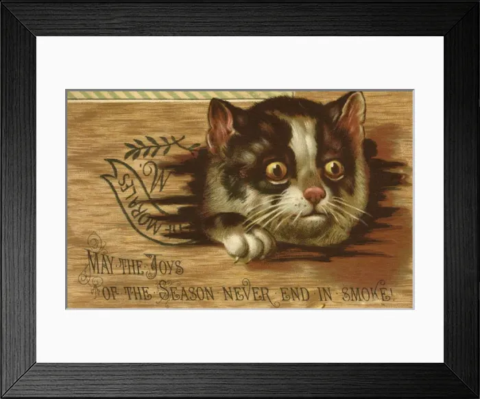 Framed Print : Christmas card, Cat with surprised expression Framed Print : Christmas card, Cat with surprised expression