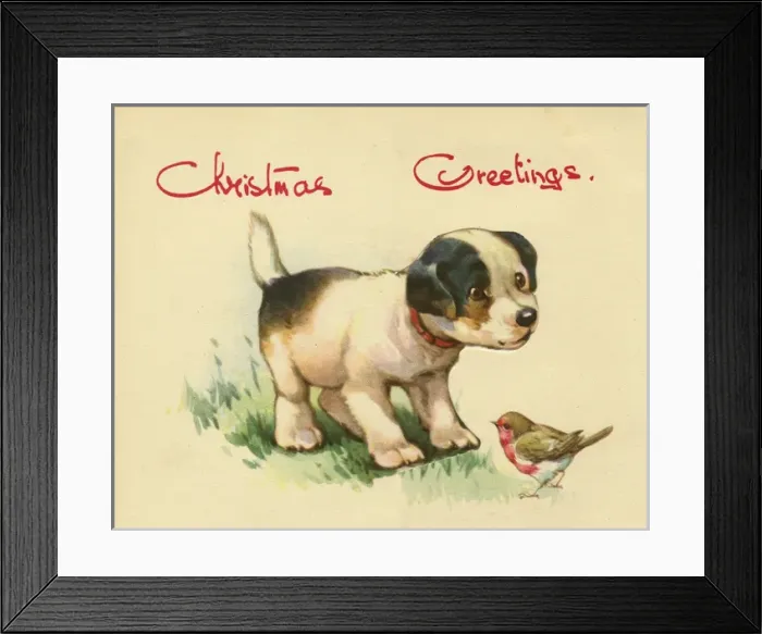 Framed Print : Christmas card, dog and robin Framed Print : Christmas card, dog and robin