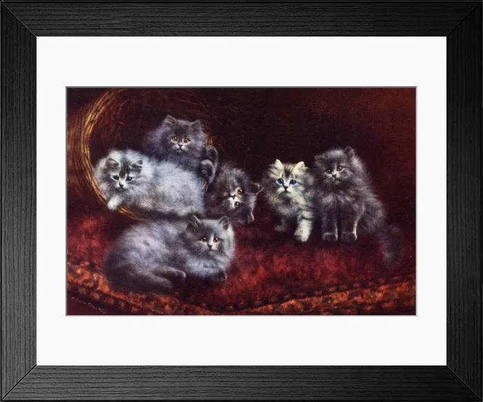 Framed Print : Cats and Kittens - A Bundle of Mischief Framed Print : Cats and Kittens - A Bundle of Mischief