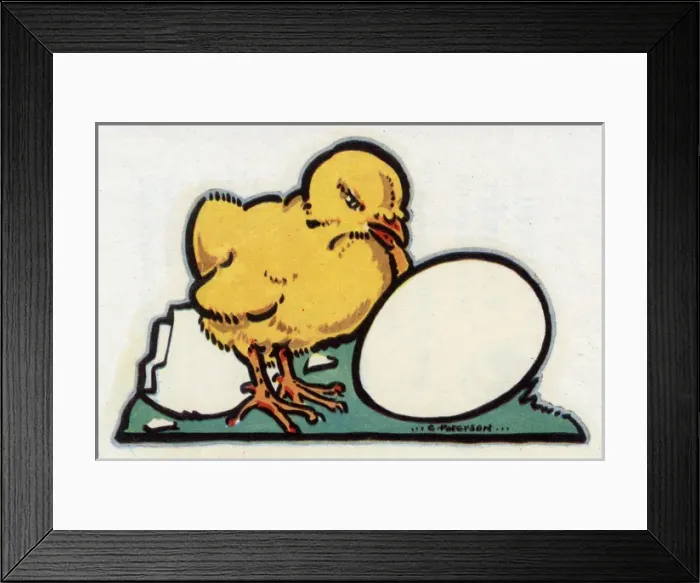 Framed Print : Easter Card design, chick hatched from an egg Framed Print : Easter Card design, chick hatched from an egg