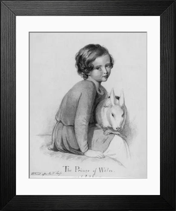 Framed Print : Edward Prince of Wales with pet rabbit Framed Print : Edward Prince of Wales with pet rabbit