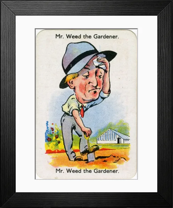 Framed Print : Happy Families Playing Cards - Mr Weed the Gardener Framed Print : Happy Families Playing Cards - Mr Weed the Gardener