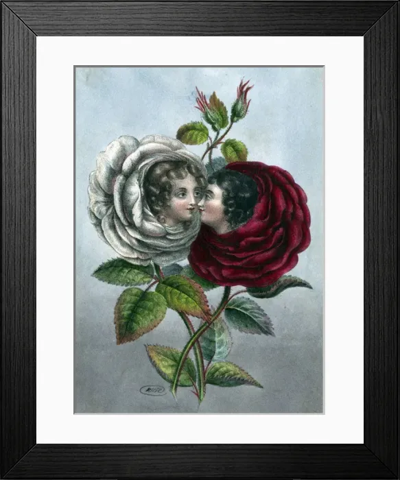 Framed Print : Rose Girls Framed Print : Rose Girls
