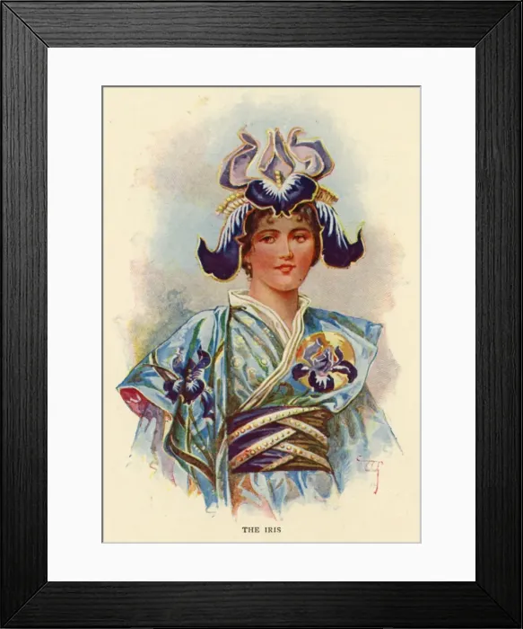 Framed Print : Fairies of the Garden - The Iris Framed Print : Fairies of the Garden - The Iris