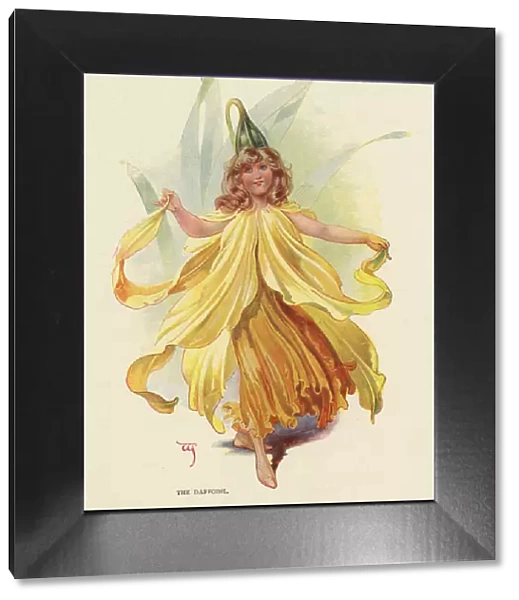 Fairies of the Garden - The Daffodil
