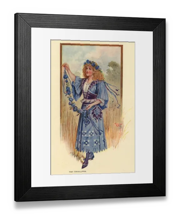 Framed Print : Fairies of the Garden - The Cornflower