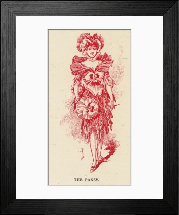 Framed Print : Fairies of the Garden - The Pansy Framed Print : Fairies of the Garden - The Pansy
