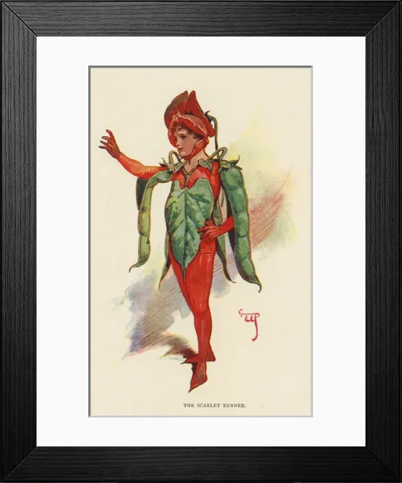 Framed Print : Fairies of the Garden - The Scarlet Runner Framed Print : Fairies of the Garden - The Scarlet Runner