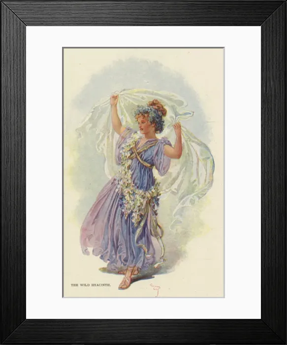 Framed Print : Fairies of the Garden - The Wild Hyacinth Framed Print : Fairies of the Garden - The Wild Hyacinth