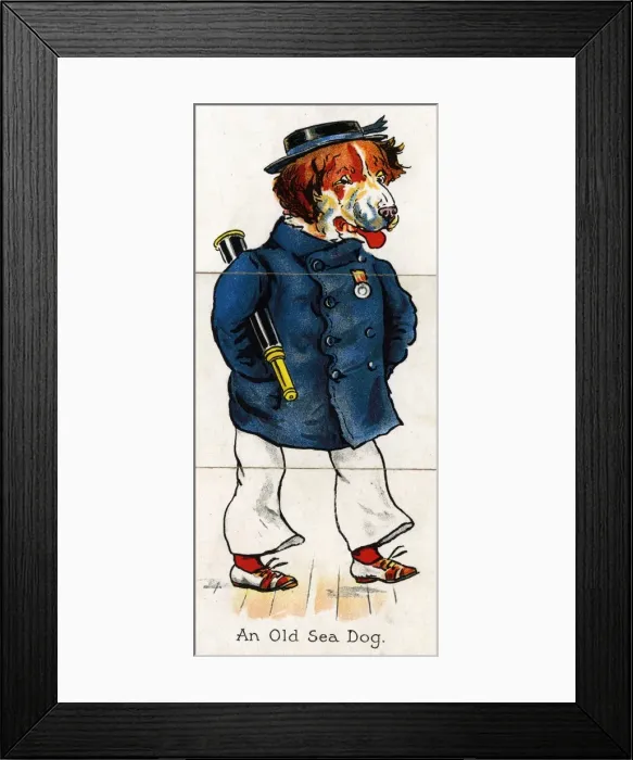 Framed Print : Zoological Misfitz - An Old Sea Dog Framed Print : Zoological Misfitz - An Old Sea Dog