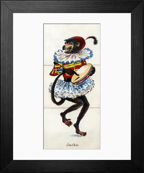 Framed Print : Zoological Misfitz - Jacko Framed Print : Zoological Misfitz - Jacko