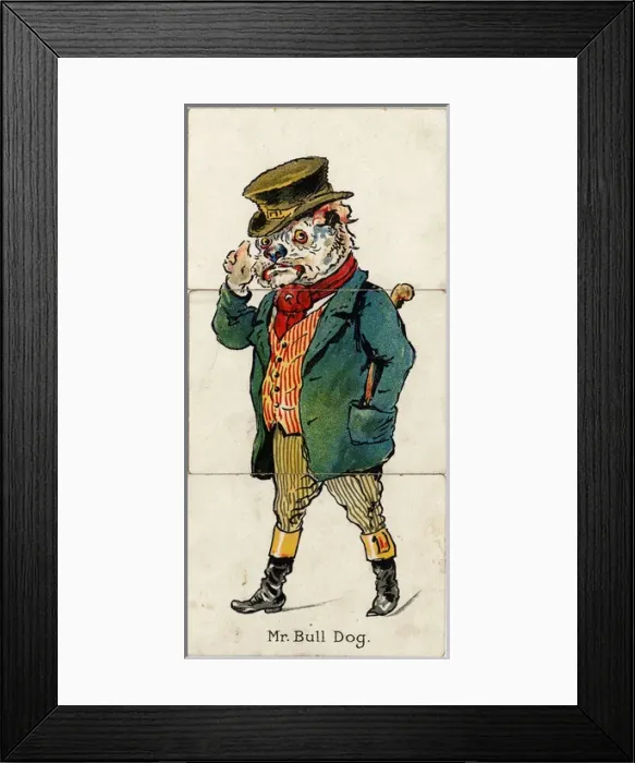 Framed Print : Zoological Misfitz - Mr Bull Dog Framed Print : Zoological Misfitz - Mr Bull Dog