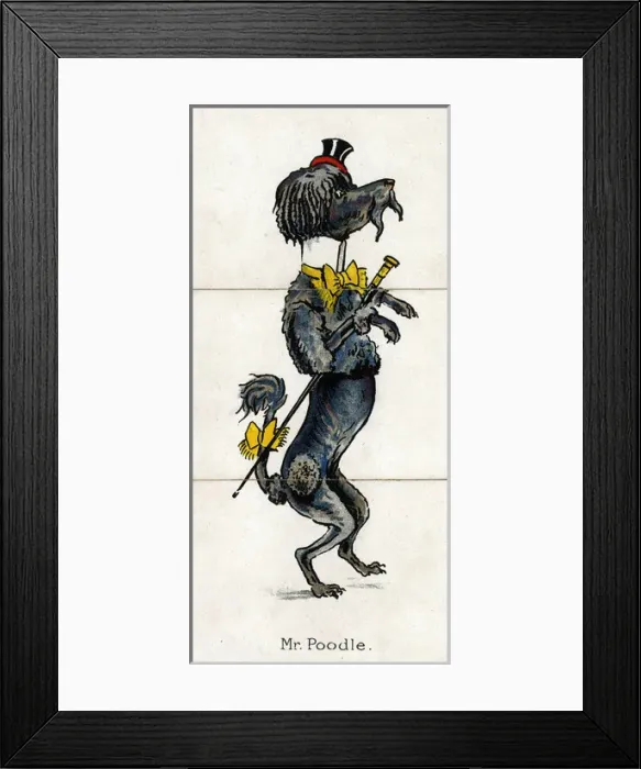 Framed Print : Zoological Misfitz - Mr Poodle Framed Print : Zoological Misfitz - Mr Poodle