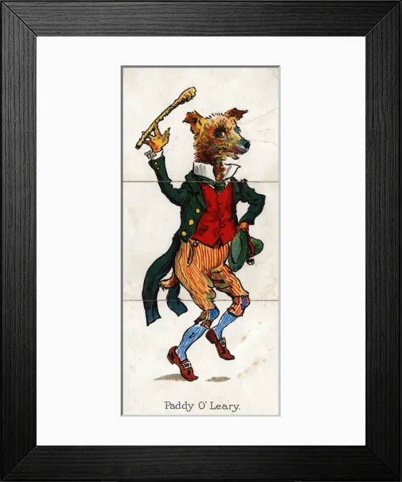 Framed Print : Zoological Misfitz - Paddy O Leary Framed Print : Zoological Misfitz - Paddy O Leary