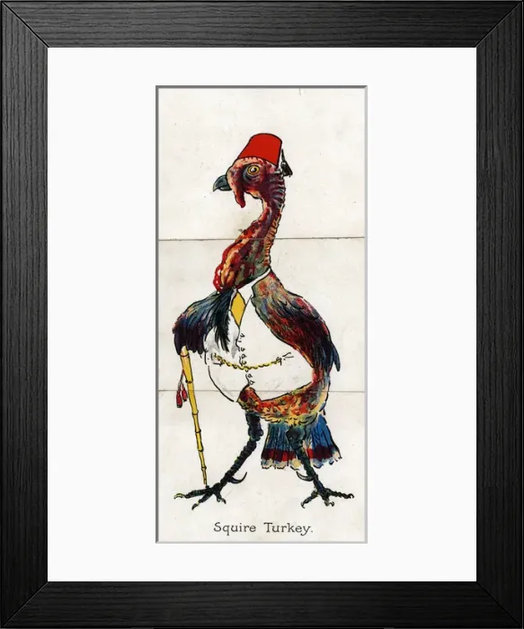 Framed Print : Zoological Misfitz - Squire Turkey Framed Print : Zoological Misfitz - Squire Turkey
