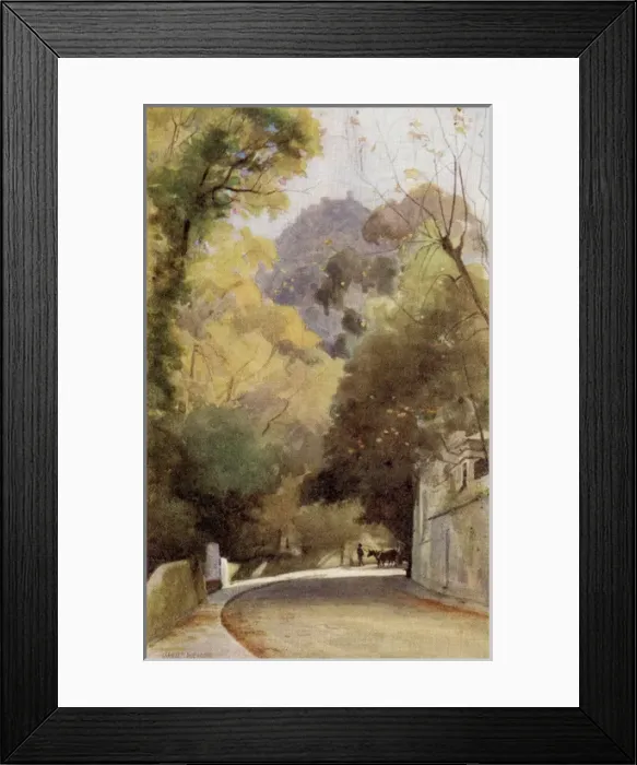 Framed Print : A Road in Cintra Framed Print : A Road in Cintra