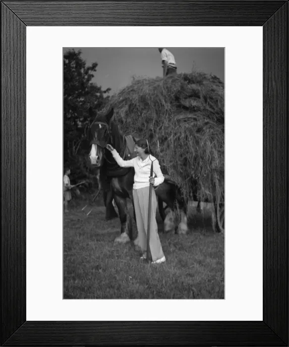 Framed Print : Harvest scene, woman with pitchfork Framed Print : Harvest scene, woman with pitchfork