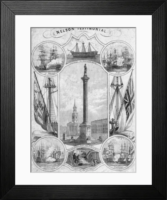 Framed Print : Horatio Nelson Testimonial Framed Print : Horatio Nelson Testimonial