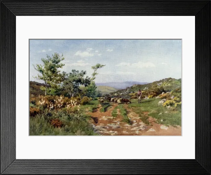 Framed Print : Herd boy and flock - Portugal Framed Print : Herd boy and flock - Portugal