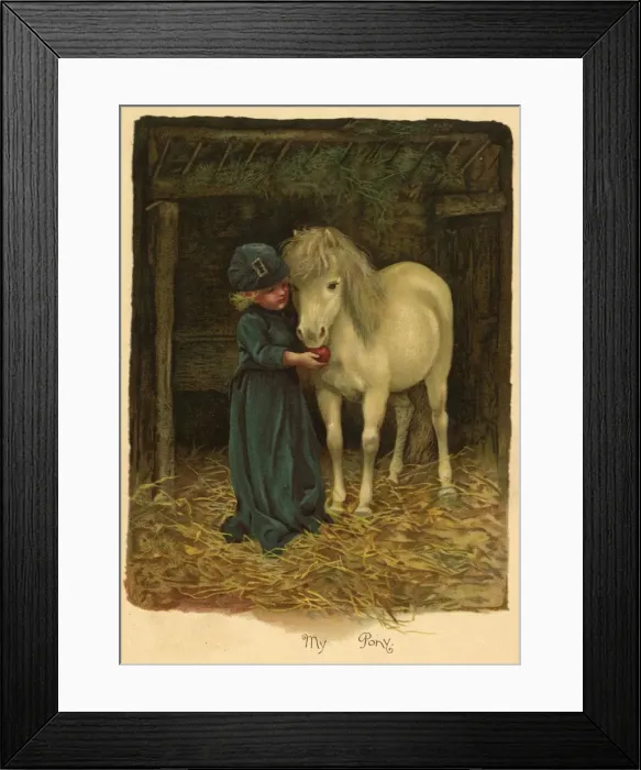 Framed Print : Illustration, My Pony Framed Print : Illustration, My Pony