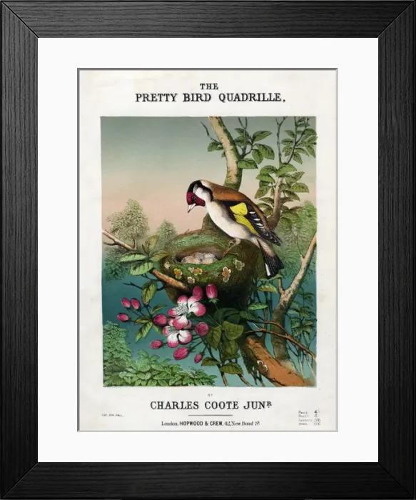 Framed Print : Music cover, Pretty Bird Quadrille Framed Print : Music cover, Pretty Bird Quadrille