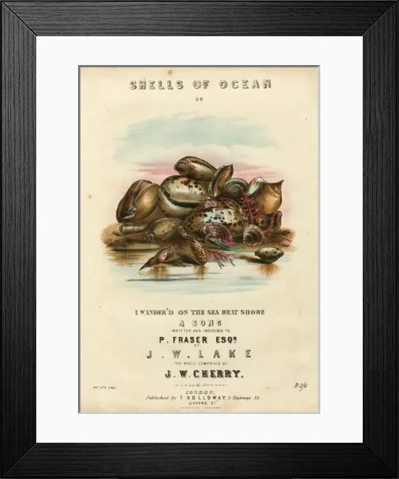 Framed Print : Music cover, Shells of Ocean Framed Print : Music cover, Shells of Ocean