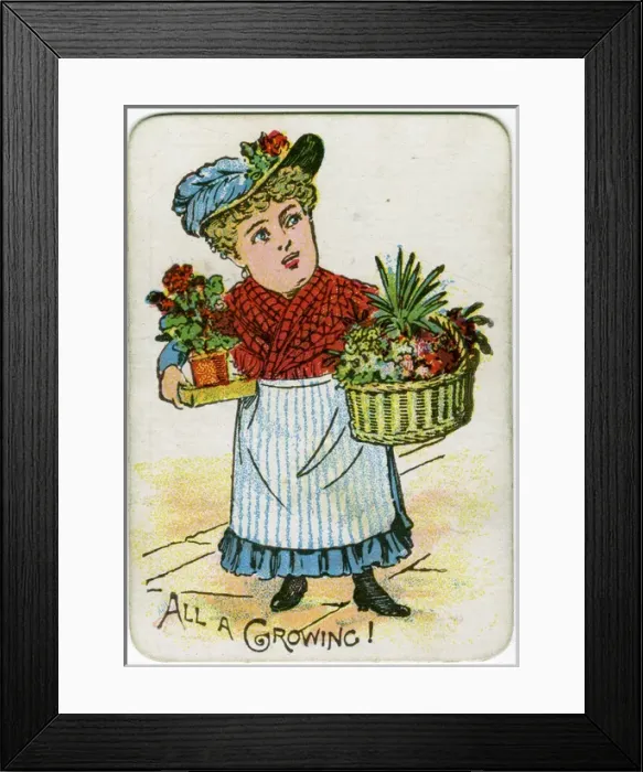 Framed Print : Snap Playing Card - All a Growing Framed Print : Snap Playing Card - All a Growing