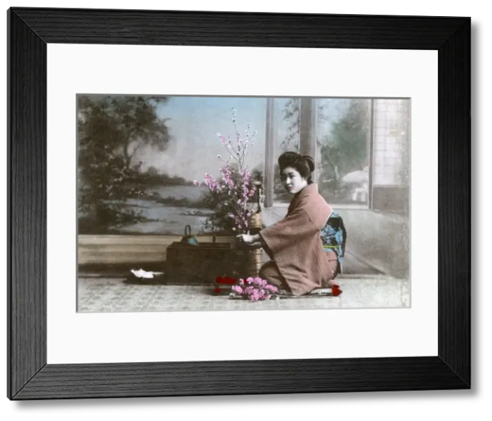 Framed Print : Japanese Geisha girl arranging flowers Framed Print : Japanese Geisha girl arranging flowers