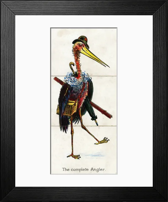 Framed Print : Zoological Misfitz - The Complete Angler Framed Print : Zoological Misfitz - The Complete Angler