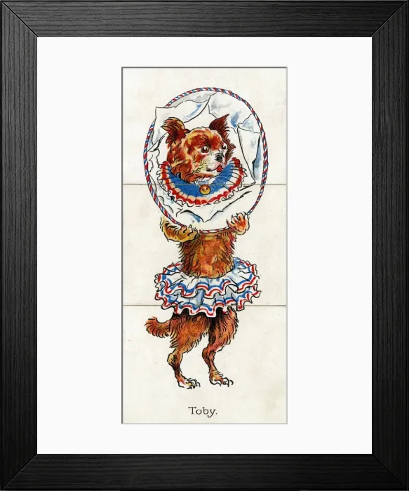 Framed Print : Zoological Misfitz - Toby Framed Print : Zoological Misfitz - Toby