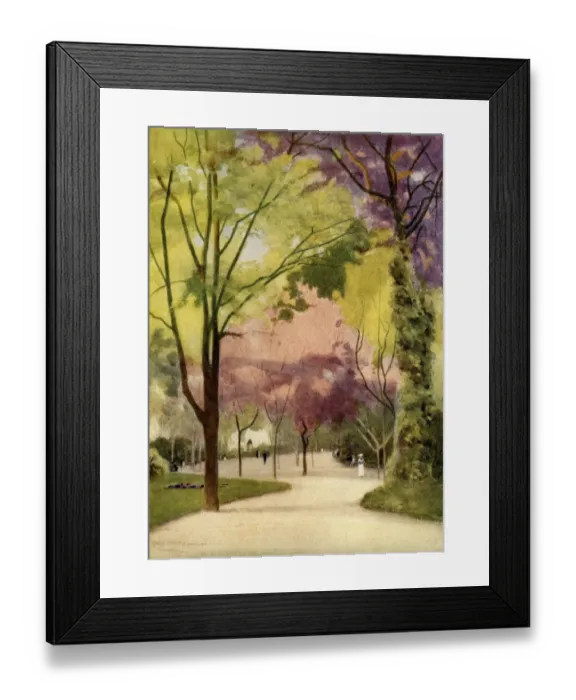 Framed Print : The Estrella Gardens Framed Print : The Estrella Gardens
