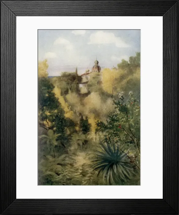Framed Print : The Tropical Glen, Monserrate Framed Print : The Tropical Glen, Monserrate