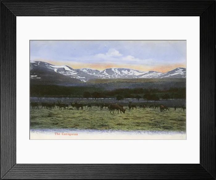 Framed Print : The Cairngorms - Scottish Highlands, Scotland Framed Print : The Cairngorms - Scottish Highlands, Scotland