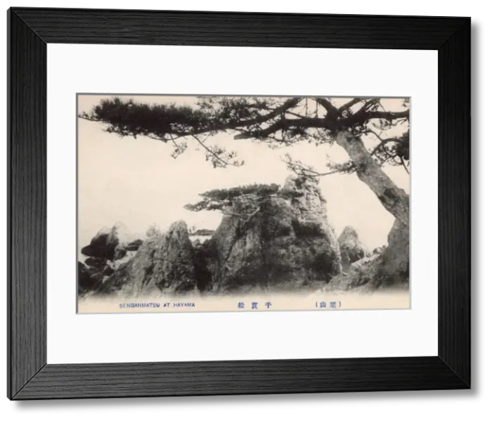 Framed Print : Senganmatsu Island on the Uradome Coast, Tottori, Japan Framed Print : Senganmatsu Island on the Uradome Coast, Tottori, Japan