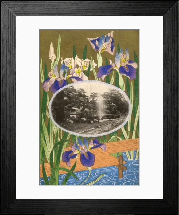 Framed Print : Irises -Imperial East Gardens, Imperial Palace, Tokyo, Japan Framed Print : Irises -Imperial East Gardens, Imperial Palace, Tokyo, Japan